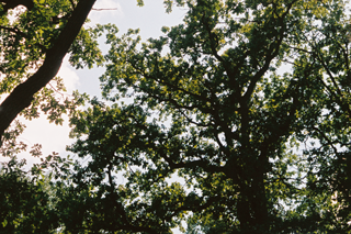 sustainability at tiger of sweden